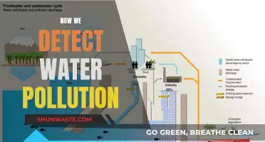 Unveiling the Tools: How We Detect Water Pollution