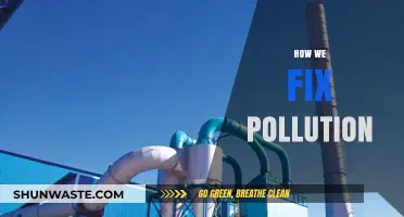 Solutions to Pollution: Strategies for a Cleaner World