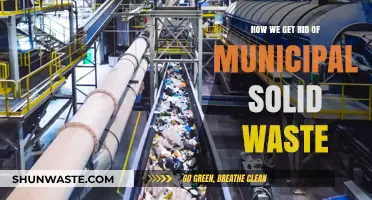 Effective Strategies for Eliminating Municipal Solid Waste in Urban Areas