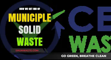 Effective Strategies to Eliminate Municipal Solid Waste and Promote Sustainability