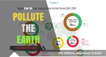 Human Impact: Polluting Our Earth