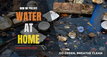 Unveiling Everyday Water Pollution: Home Habits to Avoid