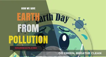 Preserving Earth: Pollution Prevention Strategies