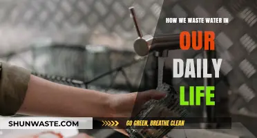 Daily Water Waste: Uncovering Hidden Habits Draining Our Precious Resource