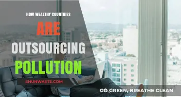 Wealthy Nations: Exporting Pollution, Importing Guilt