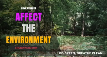 Weather's Impact: How Climate Changes Shape Our Environment and Ecosystems