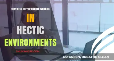 Thriving Under Pressure: Mastering Productivity in Hectic Work Environments