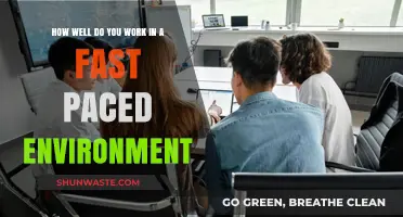 Thriving Under Pressure: Mastering Productivity in Fast-Paced Work Environments