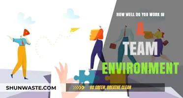 Mastering Teamwork: How Well Do You Collaborate in a Team Environment?