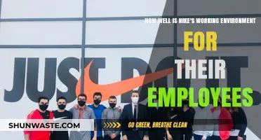 Nike's Workplace Culture: Employee Experience and Satisfaction Unveiled