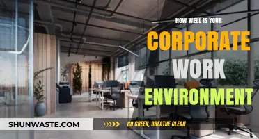 Evaluating Your Corporate Work Environment: Productivity, Culture, and Employee Satisfaction