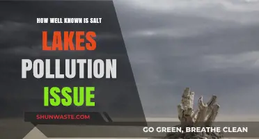 Salt Lake's Pollution Problem: A Known Issue?