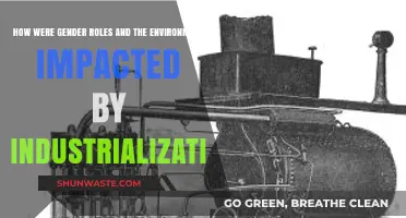 Industrialization's Dual Legacy: Transforming Gender Roles and the Environment