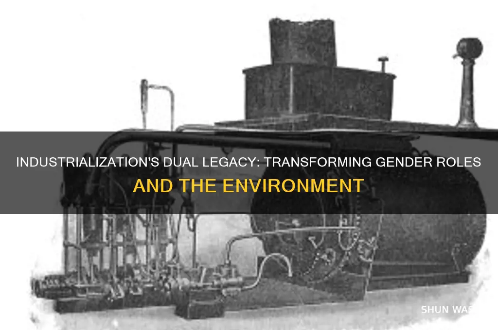 how were gender roles and the environment impacted by industrialization