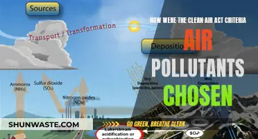 Air Pollutants: Choosing the Clean Air Act Criteria