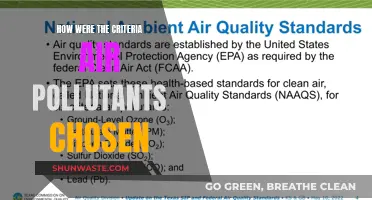 Air Quality Criteria: Pollutants and Their Selection Process