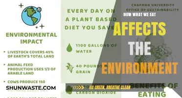 Food Choices, Environmental Impact: How Your Diet Shapes the Planet