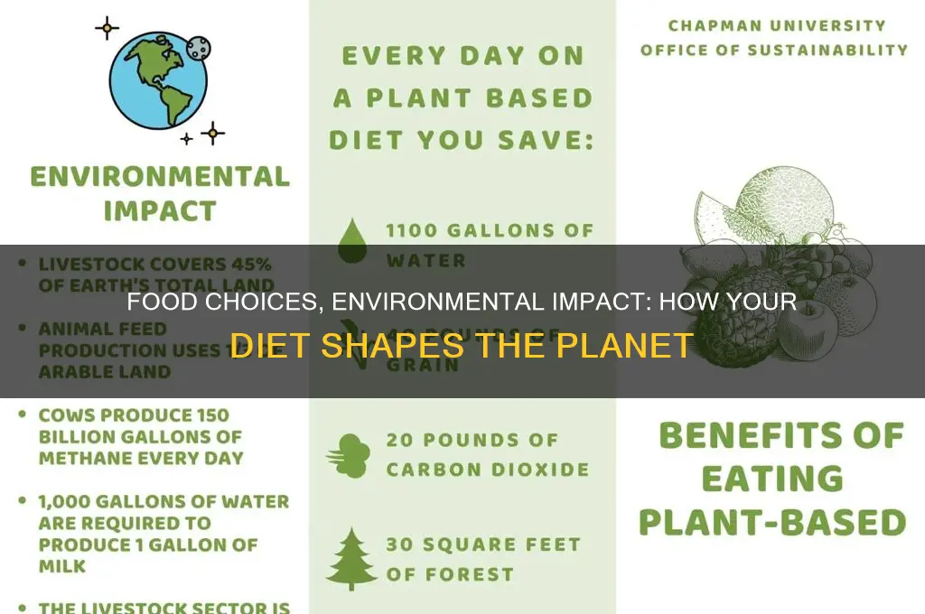 Food Choices, Environmental Impact: How Your Diet Shapes The Planet ...