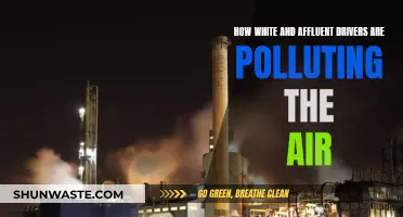 White Drivers Pollute: Air Quality Crisis in Affluent Areas