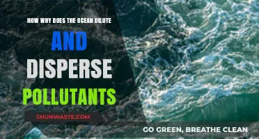 Ocean's Power: Diluting and Dispersing Pollutants