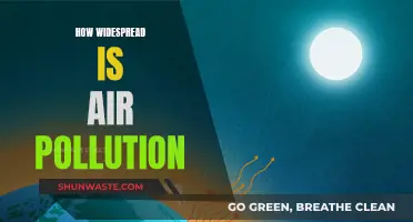 Air Pollution's Global Reach: A Comprehensive Overview