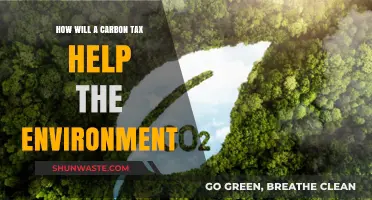 Carbon Tax: A Powerful Tool to Combat Climate Change and Protect Our Planet
