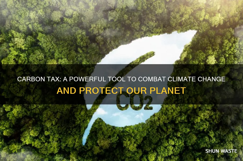 how will a carbon tax help the environment