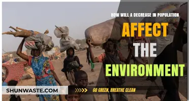 Shrinking Populations: Environmental Impacts and a Greener Future Ahead