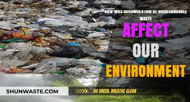 Biodegradable Waste Accumulation: Environmental Impacts and Sustainable Solutions
