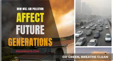 Air Pollution's Intergenerational Impact: A Worrying Legacy