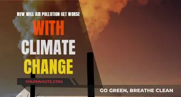 Climate Change: Air Pollution's Dark Future