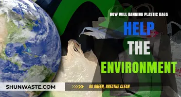 Banning Plastic Bags: A Sustainable Step Towards a Greener Future