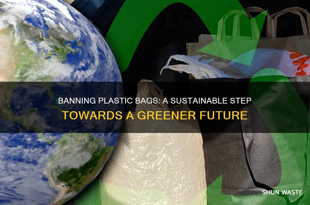 how will banning plastic bags help the environment