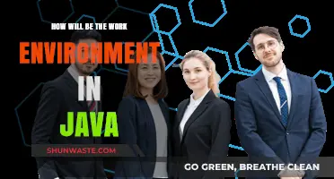 Exploring the Future Work Environment for Java Developers