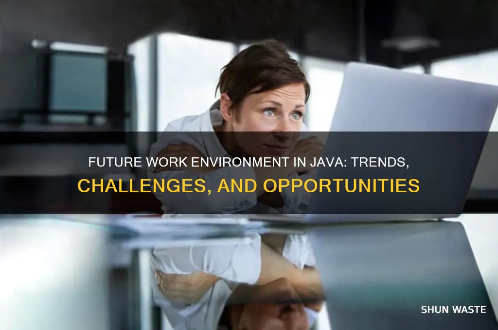 how will be the work environment in jva