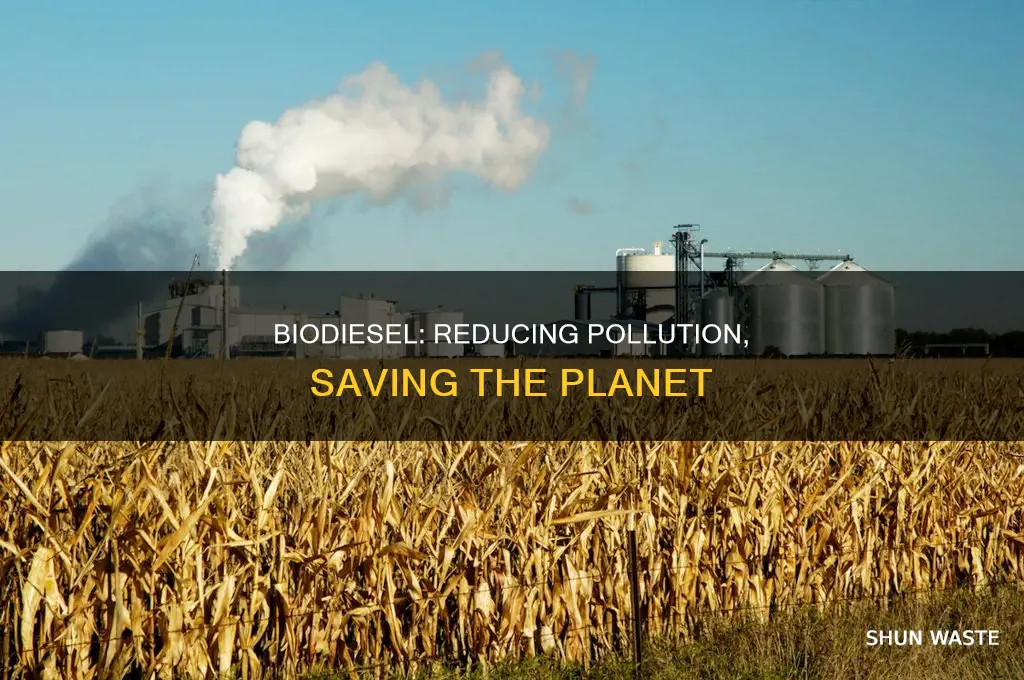 how will biodiesel help reduce pollution