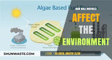 Biofuels' Environmental Impact: Benefits, Challenges, and Future Sustainability