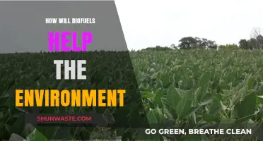 Biofuels: A Sustainable Solution for Reducing Carbon Emissions and Pollution