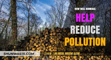 Biomass: Reducing Pollution, Creating Clean Energy