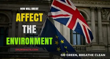 Brexit's Environmental Impact: Challenges, Opportunities, and Future Sustainability