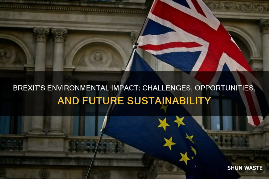 how will brexit affect the environment