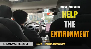 Carpooling for a Greener Future: Reducing Emissions, Saving Resources