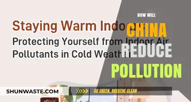 China's Pollution Solution: Strategies for a Greener Future