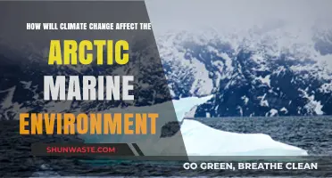 Climate Change's Impact on the Arctic Marine Ecosystem: What to Expect
