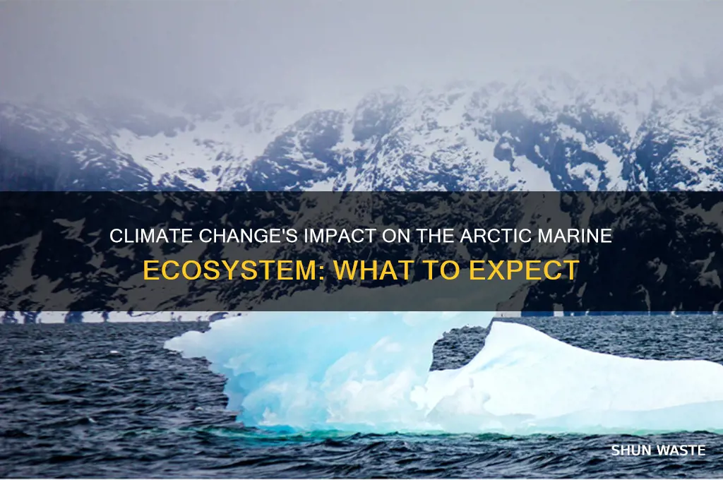 how will climate change affect the arctic marine environment