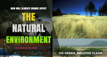 Climate Change's Impact: Transforming Ecosystems and Natural Environments