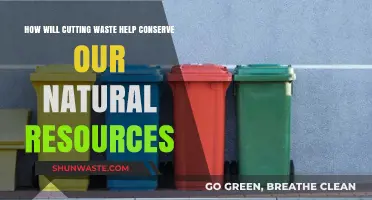 Reducing Waste: A Key Strategy to Preserve Earth's Precious Resources