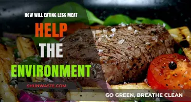 Reducing Meat Consumption: A Powerful Step Toward Environmental Sustainability