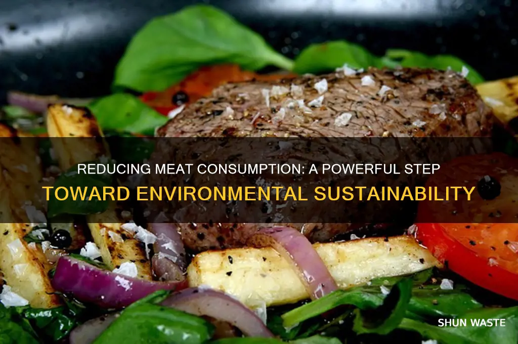 how will eating less meat help the environment