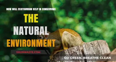 Ecotourism's Role in Preserving Nature and Protecting Ecosystems